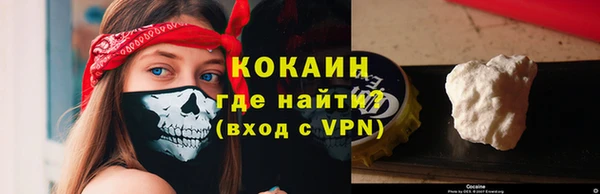 PSILOCYBIN Дмитриев