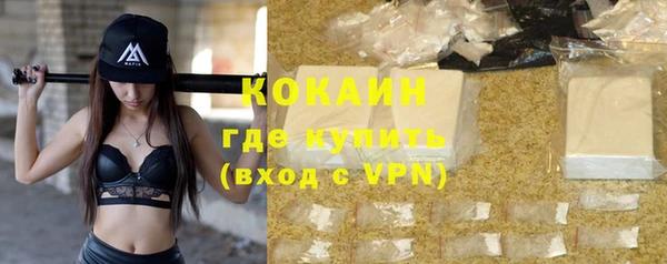 СК Ельня