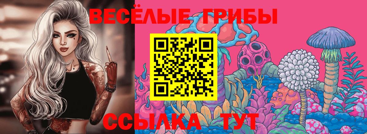 Псилоцибиновые грибы прущие грибы Верхняя Пышма