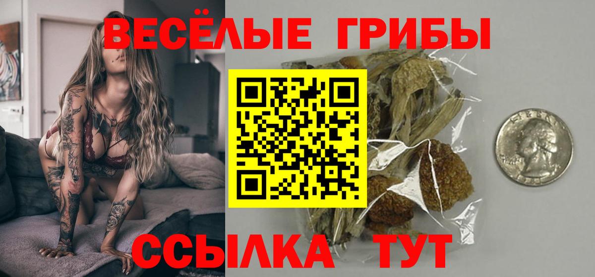 Галлюциногенные грибы GOLDEN TEACHER Верхняя Пышма