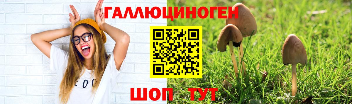 где купить   Верхняя Пышма  Галлюциногенные грибы прущие грибы 