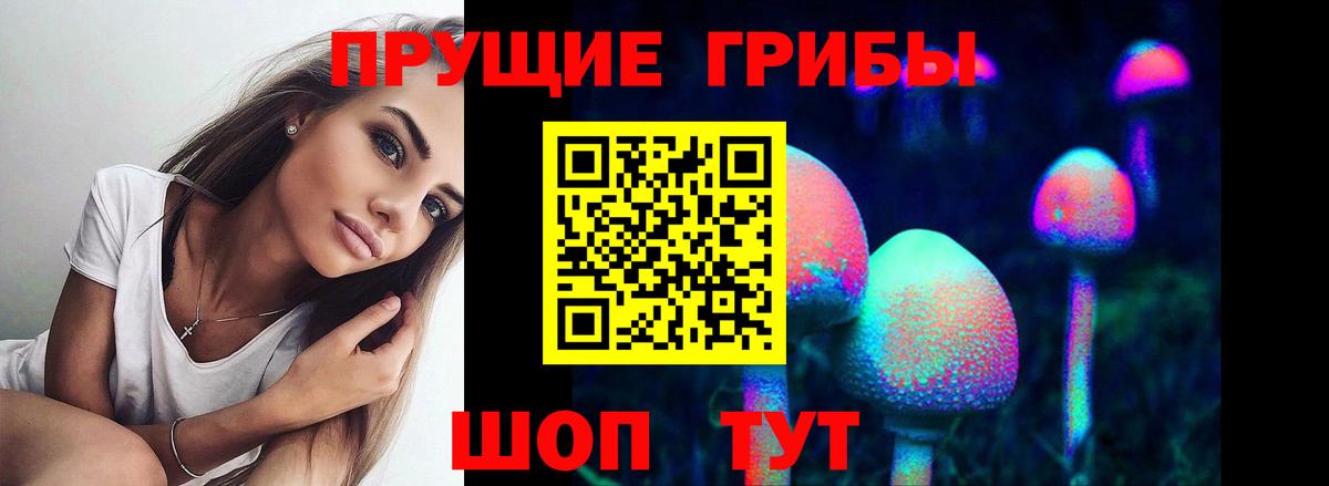 продажа наркотиков  Псилоцибиновые грибы MAGIC MUSHROOMS  Вход с VPN  Верхняя Пышма 